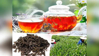 Most Expensive Tea: চায়ের দাম 9 কোটি টাকা! কী এমন মেশায় চিনারা?