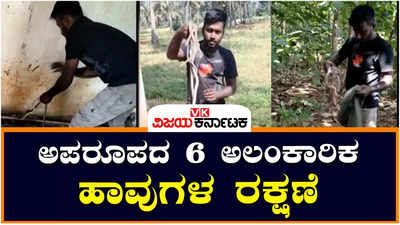 ತುಮಕೂರಿನಲ್ಲಿ ಪತ್ತೆಯಾಯ್ತು ಅಪರೂಪದ ಅಲಂಕಾರಿಕ ಹಾವುಗಳು