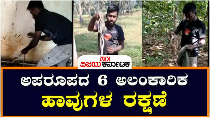 ತುಮಕೂರಿನಲ್ಲಿ ಪತ್ತೆಯಾಯ್ತು ಅಪರೂಪದ ಅಲಂಕಾರಿಕ ಹಾವುಗಳು