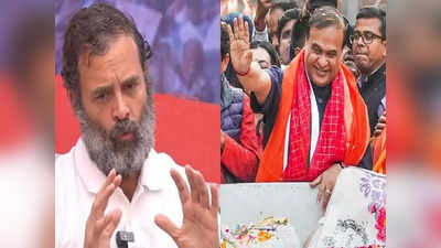 Assam CM on Rahul: సద్దాం హుస్సేన్‌లా ఉన్న రాహుల్ గాంధీ: అసోం సీఎం