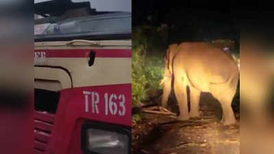 ചില്ലിന് താഴെ കുത്തി ബസ് ഉയര്‍ത്തി താഴെയിട്ടു, അക്രമാസക്തനായി ഒറ്റയാന്‍; വീഡിയോ