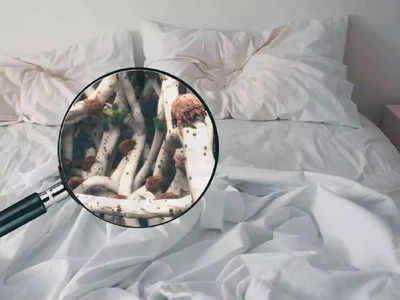 Dirty Bed Sheet: బెడ్‌షీట్‌ మురికిగా ఉంటే.. ఈ అనారోగ్యాలు వస్తాయ్‌..!