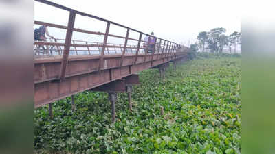 बिहार में लोहे के पुल को खा रहे हैं इंसानी दीमक, अंग्रेजों के जमाने का पुल प्लानिंग के साथ हो रहा गायब