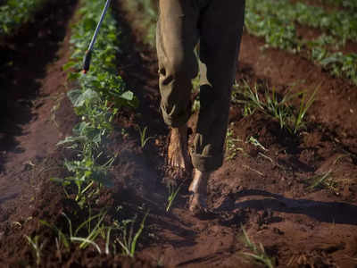 Agriculture Census: ಮೊದಲ ಬಾರಿಗೆ ಡಿಜಿಟಲ್‌ ಕೃಷಿ ಗಣತಿ: ಮೊಬೈಲ್‌ ಆ್ಯಪ್‌ ಮೂಲಕ ದತ್ತಾಂಶ ಸಂಗ್ರಹ