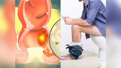 Causes of Piles : तुम्हीही टॉयलेटमध्ये भरपूर वेळ बसता? मग करा हे उपाय, पोट साफ न झाल्यास होऊ शकतो हा गंभीर आजार