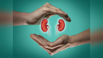 Kidney Health: షుగర్‌ పెషెంట్స్‌ కిడ్నీలు ఆరోగ్యంగా ఉండాలంటే.. ఈ జాగ్రత్తలు తీసుకోవాలి..!