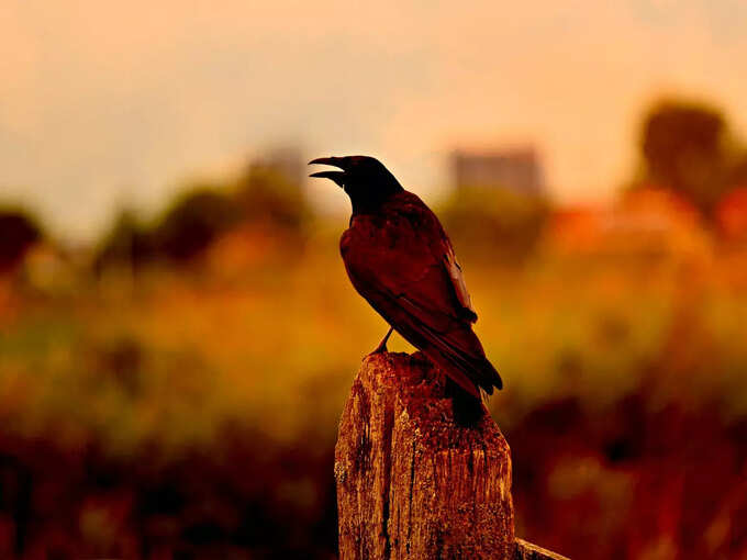 ದಾನಕ್ಕೆ ಮಹತ್ವ