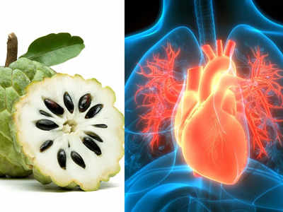 Custard Apple Benefits : थंडीतल्या आजारांवर गुणकारी, बीपी-हार्टसह पचनासंबंधींच्या त्रासांवर सीताफळं ठरतं रामबाण