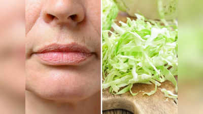 वयाच्या ५० व्या वर्षीही विशीतील वाटाल, एक्सपर्टने सांगितले 7 Anti Ageing Foods, आहारात आजच समावेश करा