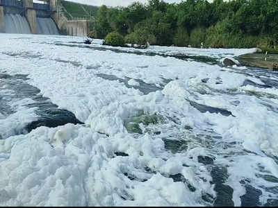 துர்நாற்றம் வீசும் கெலவரப்பள்ளி நீர்த்தேக்க அணை நீர்; நுரை பொங்கும் தென்பெண்ணை ஆறு.. விவசாயிகள் பீதி!