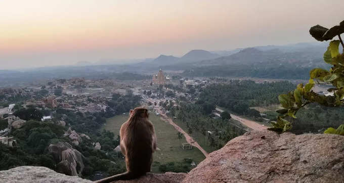 హంపి ఆటో డ్రైవర్‌కు ఫిదా అయిన బెల్జియం యువతి.. ఘనంగా పెళ్లి