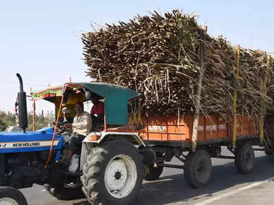 Sugarcane Tractor: ಮುಧೋಳದಲ್ಲಿ ರಸ್ತೆಗಿಳಿದ ಕಬ್ಬಿನ ಟ್ರ್ಯಾಕ್ಟರ್‌ಗಳು; ಎಲ್ಲೆಲ್ಲೂ ಟ್ರಾಫಿಕ್‌ ಜಾಮ್‌