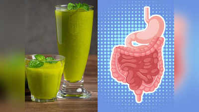 Juice For Digestion : पाचन तंत्र को बनाना है बेहतर और मजबूत, तो इन जूस का सेवन हो सकता है फायदेमंद