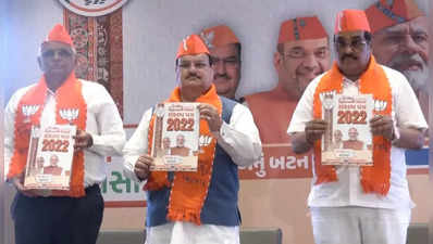 BJP Manifesto: ભાજપે ચૂંટણી વચનોનો કોથળો ખોલ્યો, દરેક જિલ્લામાં મેેડિકલ કોલેજ, મહિલાઓને એક લાખ સરકારી જોબ