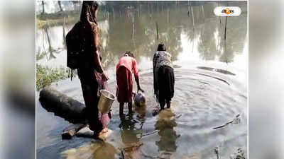 Water Crisis : দীর্ঘদিন ধরে পানীয় জল সংকট , মালদায় গ্রামবাসীদের একমাত্র ভরসা পুকুরের জল