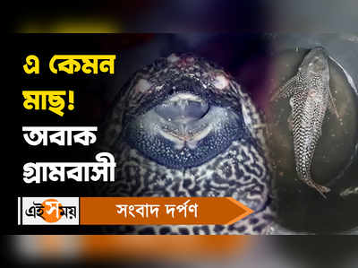 Shantipur News: এ কেমন মাছ! অবাক গ্রামবাসী