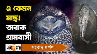 Shantipur News: এ কেমন মাছ! অবাক গ্রামবাসী