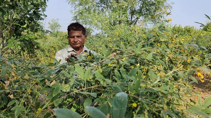 ​शासनाच्या पाठबळामुळे शेती सावरली