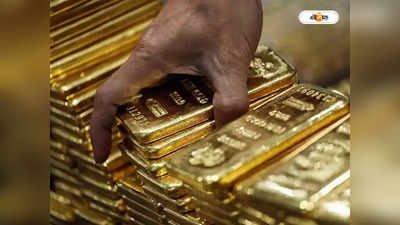 Gold Smuggling Case : ভ্যানের সিটের নীচে তাকাতেই চক্ষু-চড়কগাছ, নজরে এল তাল তাল সোনা!
