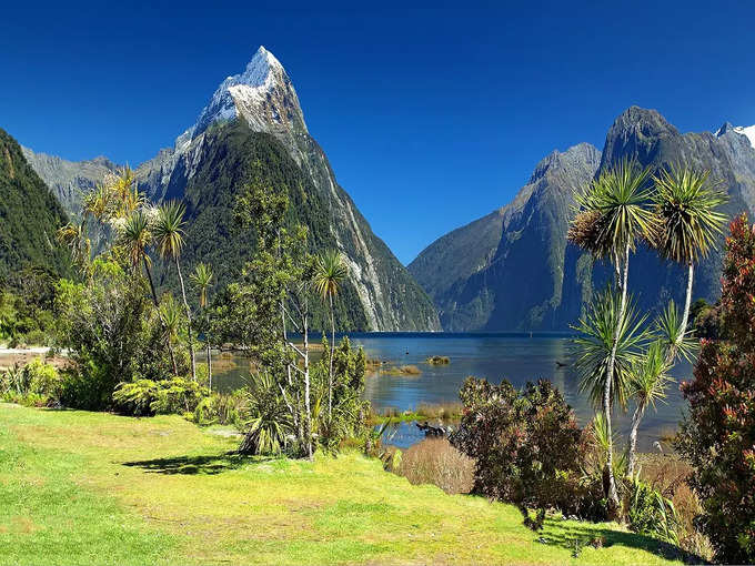 न्यूजीलैंड - New Zealand