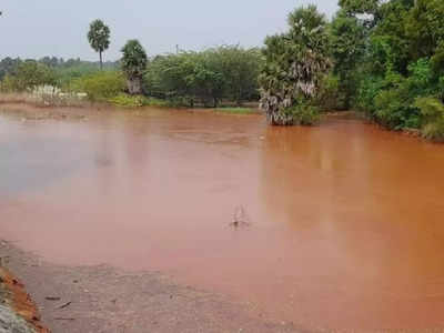 ரத்தக் கலரில் மாறிய குளம்... ஈரோட்டில் என்ன நடந்தது? நேரில் வந்த அமைச்சர் சாமிநாதன்!