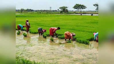 நெல் விதைப்பு அமோகம்.. விவசாயிகள் பெரு மகிழ்ச்சி!