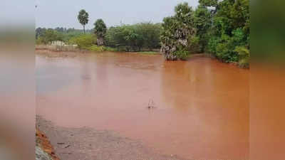 ரத்தக் கலரில் மாறிய குளம்... ஈரோட்டில் என்ன நடந்தது? நேரில் வந்த அமைச்சர் சாமிநாதன்!