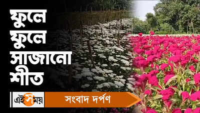 Flower Cultivation : ফুলে ফুলে সাজানো শীত