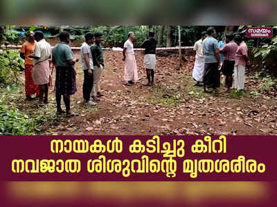 നായകള്‍ കടിച്ചു കീറിയ നിലയില്‍ നവജാത ശിശുവിന്റെ മൃതശരീരം