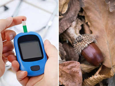 Chestnut Benefits: সুপারির মতো দেখতে এই ফলটি ঠান্ডার সুপারফুড, রক্তে শর্করা ও উচ্চচাপকে নিমিষেই দূর করতে পারে জানতেন?