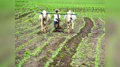 Maharashtra News: ₹1, ₹14 और ₹37... मुआवजा या मजाक? पीएम फसल बीमा योजना से मिली रकम पर किसान भी हैरान