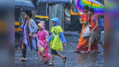 Maharashtra Weather Alert: ऐन थंडीत राज्यात पाऊस कोसळणार, पुण्यासह या जिल्ह्यांना हवामान खात्याचा इशारा