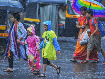 Maharashtra Weather Alert: ऐन थंडीत राज्यात पाऊस कोसळणार, पुण्यासह या जिल्ह्यांना हवामान खात्याचा इशारा