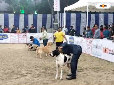 Dog Show : সারমেয়দের নিয়ে প্রতিযোগিতার আয়োজন বারাসতে, দেখতে উপচে পড়ল ভিড়