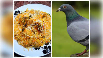 Pigeon meat Biryani: రెస్టారెంట్లలో పావురం బిర్యానీలు... సీక్రేట్ ఆపరేషన్‌తో బయటపెట్టిన రిటైర్డ్ ఆర్మీ అధికారి