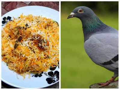 Pigeon meat Biryani: రెస్టారెంట్లలో పావురం బిర్యానీలు... సీక్రేట్ ఆపరేషన్‌తో బయటపెట్టిన రిటైర్డ్ ఆర్మీ అధికారి