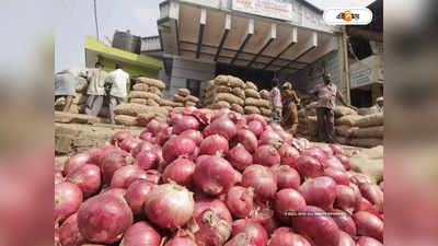Karnataka Farmers Protest : ৪১৫ কিমি হেঁটে ২ কুইন্টাল পেঁয়াজ বিক্রি! কৃষকের লাভ ৮ টাকা
