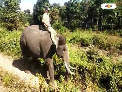 Elephant Death : ট্র্যাকে হাতি এলেই সতর্কবার্তা দেবে সেন্সর, অঘটন এড়াতে ডুয়ার্সে নয়া প্রযুক্তি রেলের