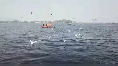 Jharkhand Tourism: पतरातू डैम मेहमान प्रवासी पक्षियों से हुआ गुलजार,अपनी अठखेलियों से पर्यटकों को कर रहे आकर्षित