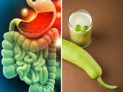 आंतों में जमा विषाक्त पदार्थ होंगे बाहर, BP रहेगा हमेशा कंट्रोल, Ayurveda डॉ. ने बताए लौकी के रस के 7 फायदे
