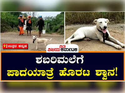 ಕಾರವಾರ: ಶಬರಿಮಲೆಯ ಅಯ್ಯಪ್ಪನ ದರ್ಶನಕ್ಕೆ ಹೊರಟ ಶ್ವಾನ, 200 ಕಿ.ಮೀ. ಯಾತ್ರೆ