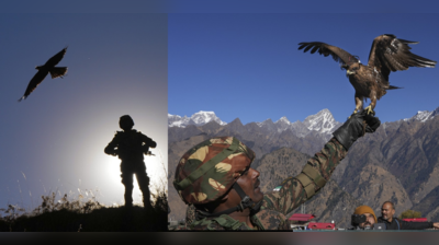 पाकिस्तानच्या ड्रोनची शिकार करणार अर्जुन; भारतीय सैन्याचा हवेत उडणारा धाडसी कमांडो