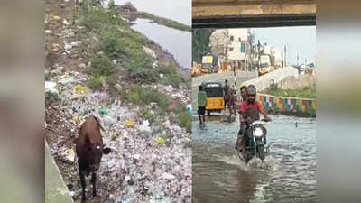 மதுரை வைகை ஆற்றில் டாஸ்மாக் குப்பைகள், ஆகாய தாமரை: நடவடிக்கை எடுக்குமா மாநகராட்சி!