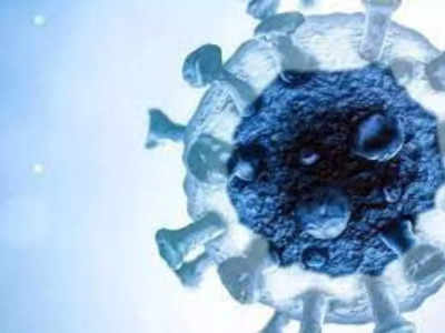 Zombie Virus: ४८ हजार वर्षांनंतर झोम्बी व्हायरस जिवंत, संपूर्ण जगाला शास्त्रज्ञांकडून इशारा