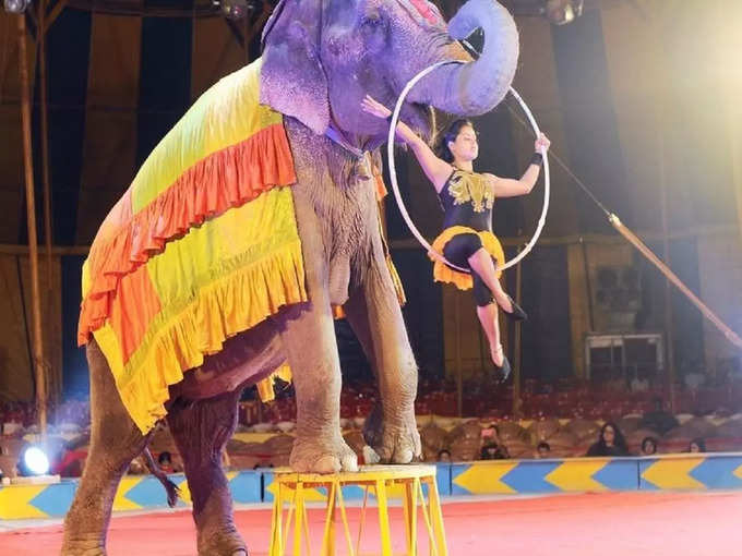 सबसे बड़ा सर्कस बॉम्बे सर्कस - Bombay Circus