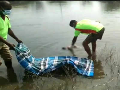 ஏரியில் தூக்கி வீசப்பட்ட பெண் சிசு - பென்னாகரம் போலீசார் விசாரணை