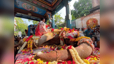 Elephant Lakshmi: पुदुचेरी की हाथी लक्ष्मी की मौत, CM से लेकर राज्यपाल तक ने दी श्रद्धांजलि, जानें क्यों थी खास