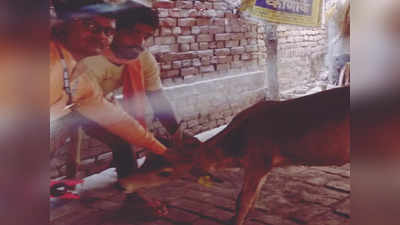 गाजीपुर में बड़ी संख्या में पशुओं की ईयर टैगिंग बाकी, जल्द टारगेट पूरा करने का लक्ष्य, अधिकारियों में हड़कंप