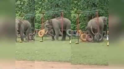 ആനയ്ക്കുമില്ലേ മോഹങ്ങൾ; പാർക്കിലെത്തിയ ആനയുടെ കുട്ടിക്കളി വൈറൽ