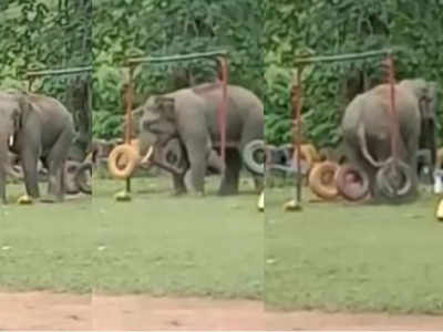 ആനയ്ക്കുമില്ലേ മോഹങ്ങൾ; പാർക്കിലെത്തിയ ആനയുടെ കുട്ടിക്കളി വൈറൽ